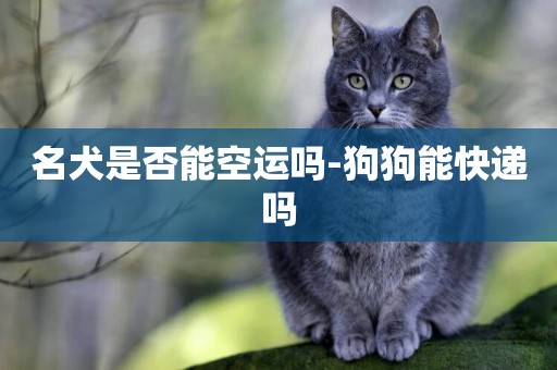 名犬是否能空運嗎-狗狗能快遞嗎