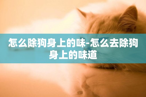 怎么除狗身上的味-怎么去除狗身上的味道
