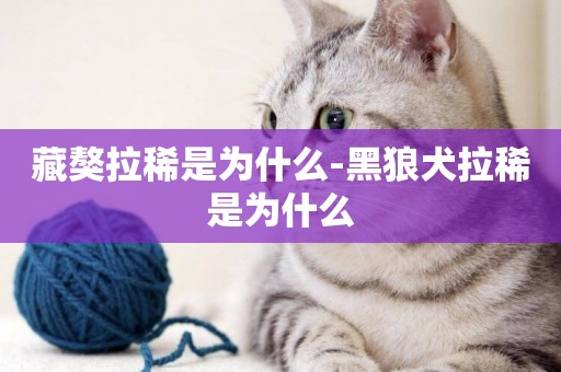 藏獒拉稀是為什么-黑狼犬拉稀是為什么