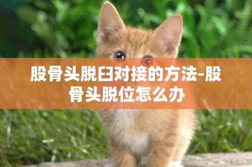 股骨頭脫臼對接的方法-股骨頭脫位怎么辦