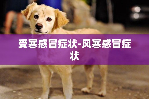 受寒感冒癥狀-風寒感冒癥狀