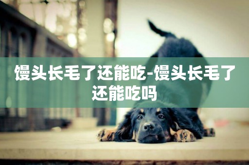 饅頭長毛了還能吃-饅頭長毛了還能吃嗎