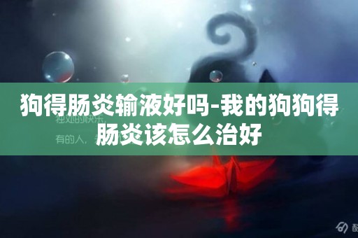 狗得腸炎輸液好嗎-我的狗狗得腸炎該怎么治好