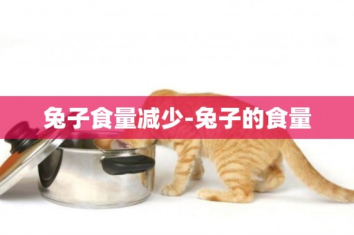 兔子食量減少-兔子的食量