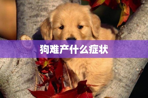 狗難產什么癥狀