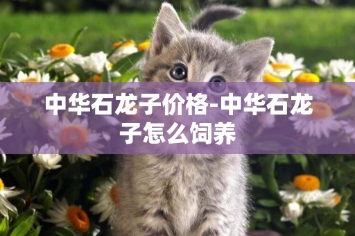 中華石龍子價格-中華石龍子怎么飼養