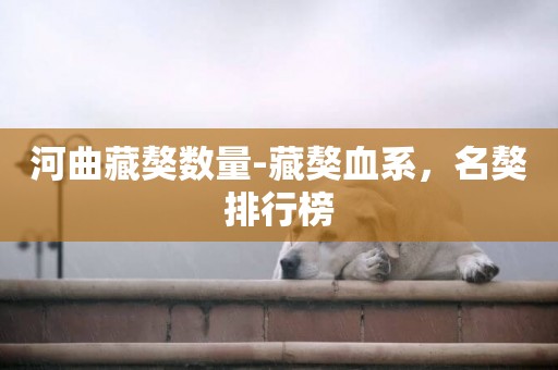河曲藏獒數量-藏獒血系，名獒排行榜