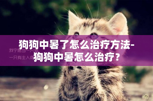狗狗中暑了怎么治療方法-狗狗中暑怎么治療？