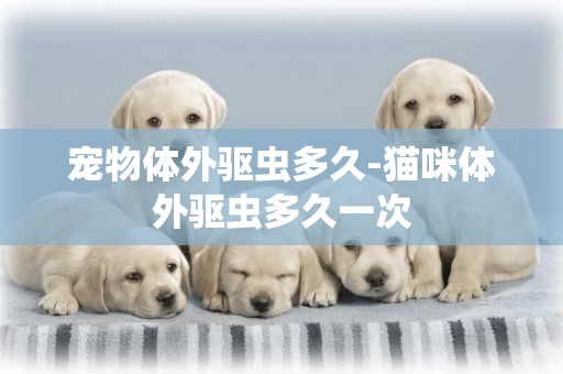 寵物體外驅蟲多久-貓咪體外驅蟲多久一次