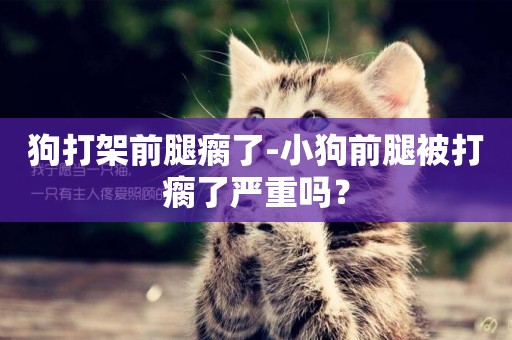 狗打架前腿瘸了-小狗前腿被打瘸了嚴重嗎？
