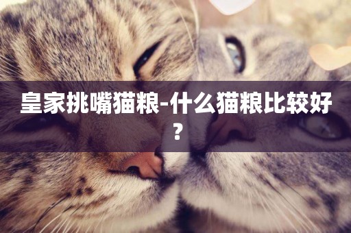 皇家挑嘴貓糧-什么貓糧比較好？