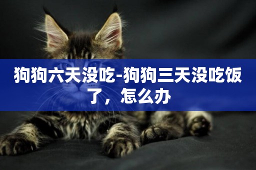 狗狗六天沒吃-狗狗三天沒吃飯了，怎么辦