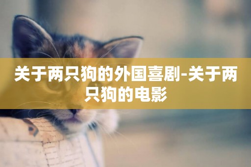 關于兩只狗的外國喜劇-關于兩只狗的電影