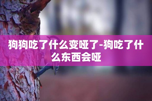 狗狗吃了什么變啞了-狗吃了什么東西會啞
