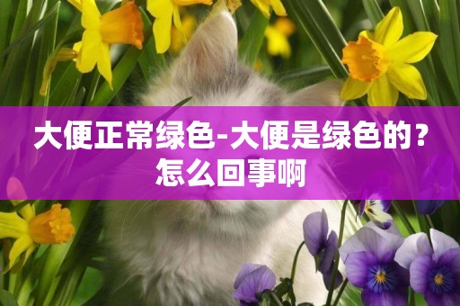 大便正常綠色-大便是綠色的？怎么回事啊