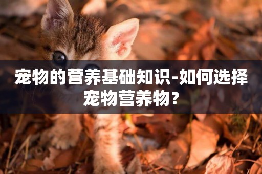 寵物的營養基礎知識-如何選擇寵物營養物？