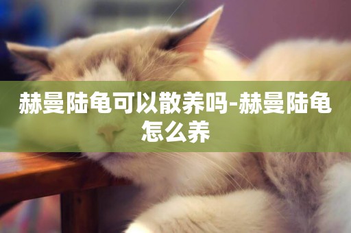 赫曼陸龜可以散養嗎-赫曼陸龜怎么養