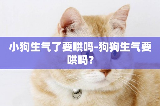 小狗生氣了要哄嗎-狗狗生氣要哄嗎？