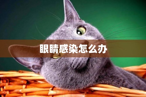 眼睛感染怎么辦