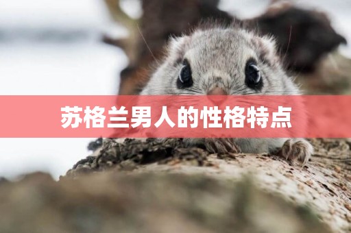 蘇格蘭男人的性格特點