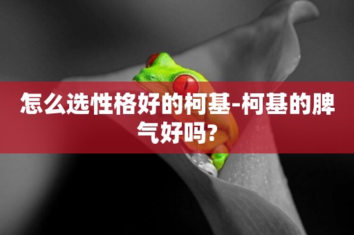 怎么選性格好的柯基-柯基的脾氣好嗎?
