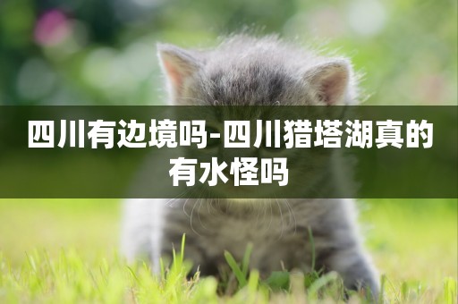 四川有邊境嗎-四川獵塔湖真的有水怪嗎