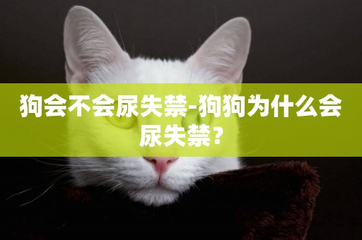 狗會不會尿失禁-狗狗為什么會尿失禁？