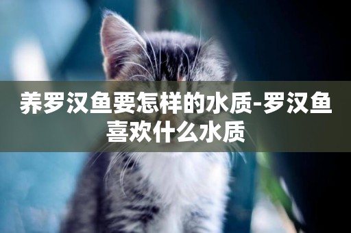 養羅漢魚要怎樣的水質-羅漢魚喜歡什么水質