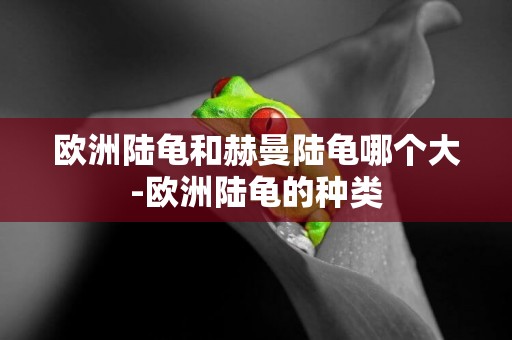 歐洲陸龜和赫曼陸龜哪個大-歐洲陸龜的種類