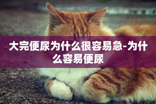 大完便尿為什么很容易急-為什么容易便尿