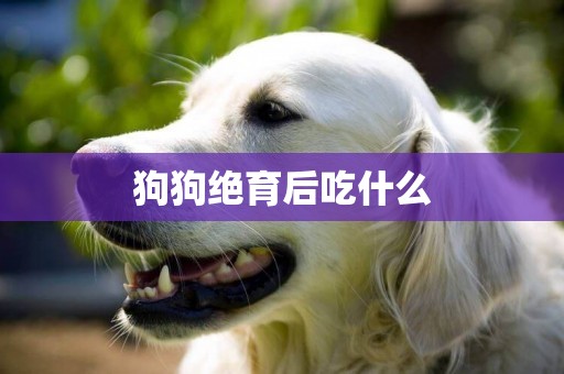狗狗絕育后吃什么