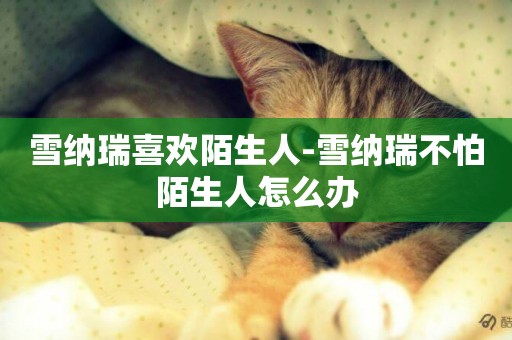 雪納瑞喜歡陌生人-雪納瑞不怕陌生人怎么辦