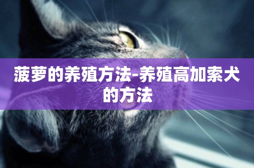 菠蘿的養殖方法-養殖高加索犬的方法