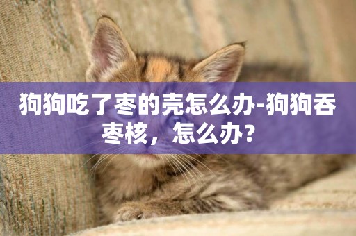 狗狗吃了棗的殼怎么辦-狗狗吞棗核，怎么辦？