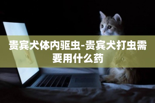 貴賓犬體內驅蟲-貴賓犬打蟲需要用什么藥