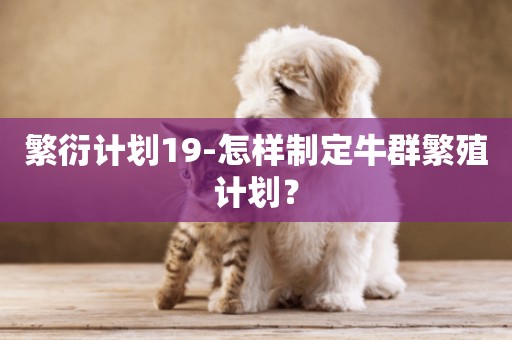 繁衍計劃19-怎樣制定牛群繁殖計劃？
