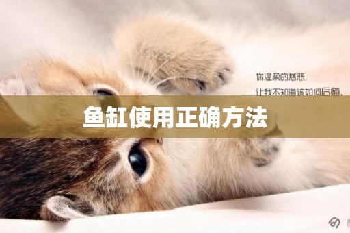 魚缸使用正確方法
