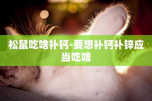 松鼠吃啥補鈣-要想補鈣補鋅應當吃啥