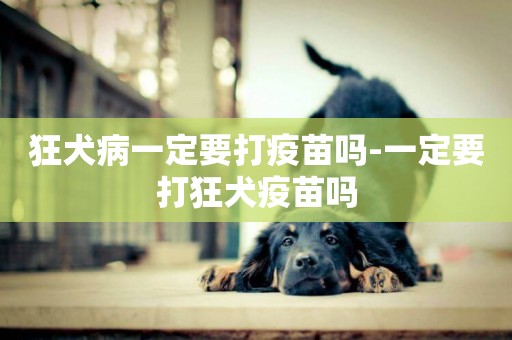 狂犬病一定要打疫苗嗎-一定要打狂犬疫苗嗎