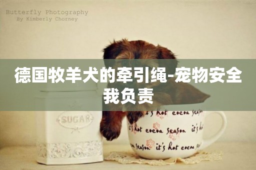 德國牧羊犬的牽引繩-寵物安全我負責