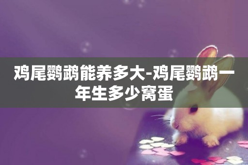 雞尾鸚鵡能養多大-雞尾鸚鵡一年生多少窩蛋