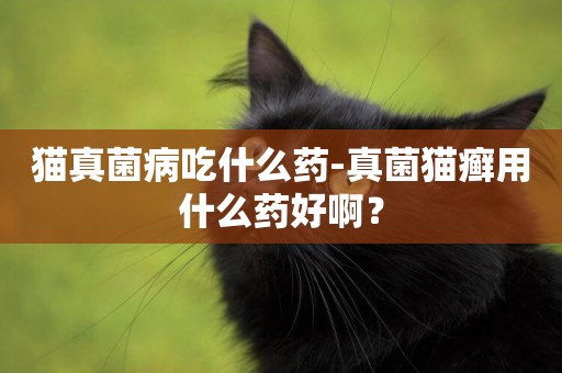 貓真菌病吃什么藥-真菌貓癬用什么藥好啊？