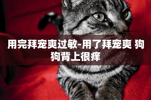 用完拜寵爽過敏-用了拜寵爽 狗狗背上很癢