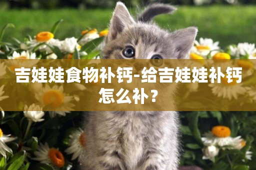 吉娃娃食物補鈣-給吉娃娃補鈣怎么補？