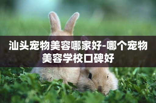 汕頭寵物美容哪家好-哪個寵物美容學校口碑好