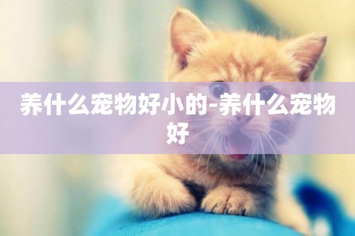 養什么寵物好小的-養什么寵物好