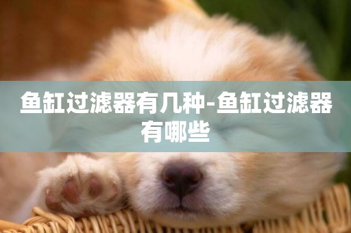 魚缸過濾器有幾種-魚缸過濾器有哪些