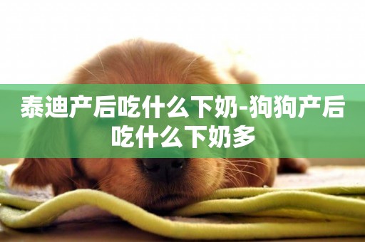 泰迪產后吃什么下奶-狗狗產后吃什么下奶多