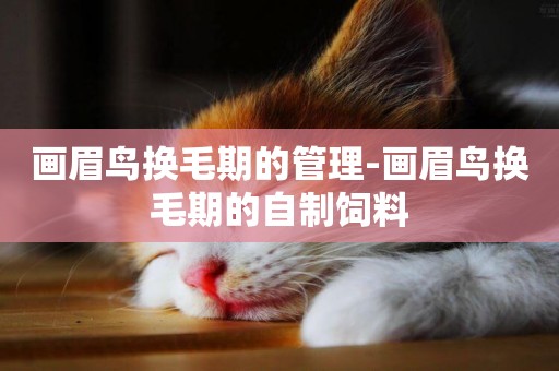 畫眉鳥換毛期的管理-畫眉鳥換毛期的自制飼料
