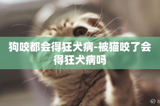 狗咬都會得狂犬病-被貓咬了會得狂犬病嗎